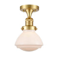 Semi-Flush Mount Light S95080