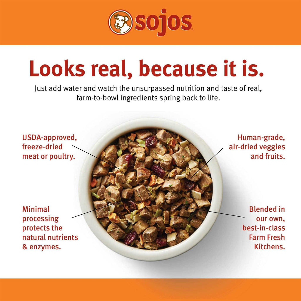 Complete Beef Recipe Dog Food A940