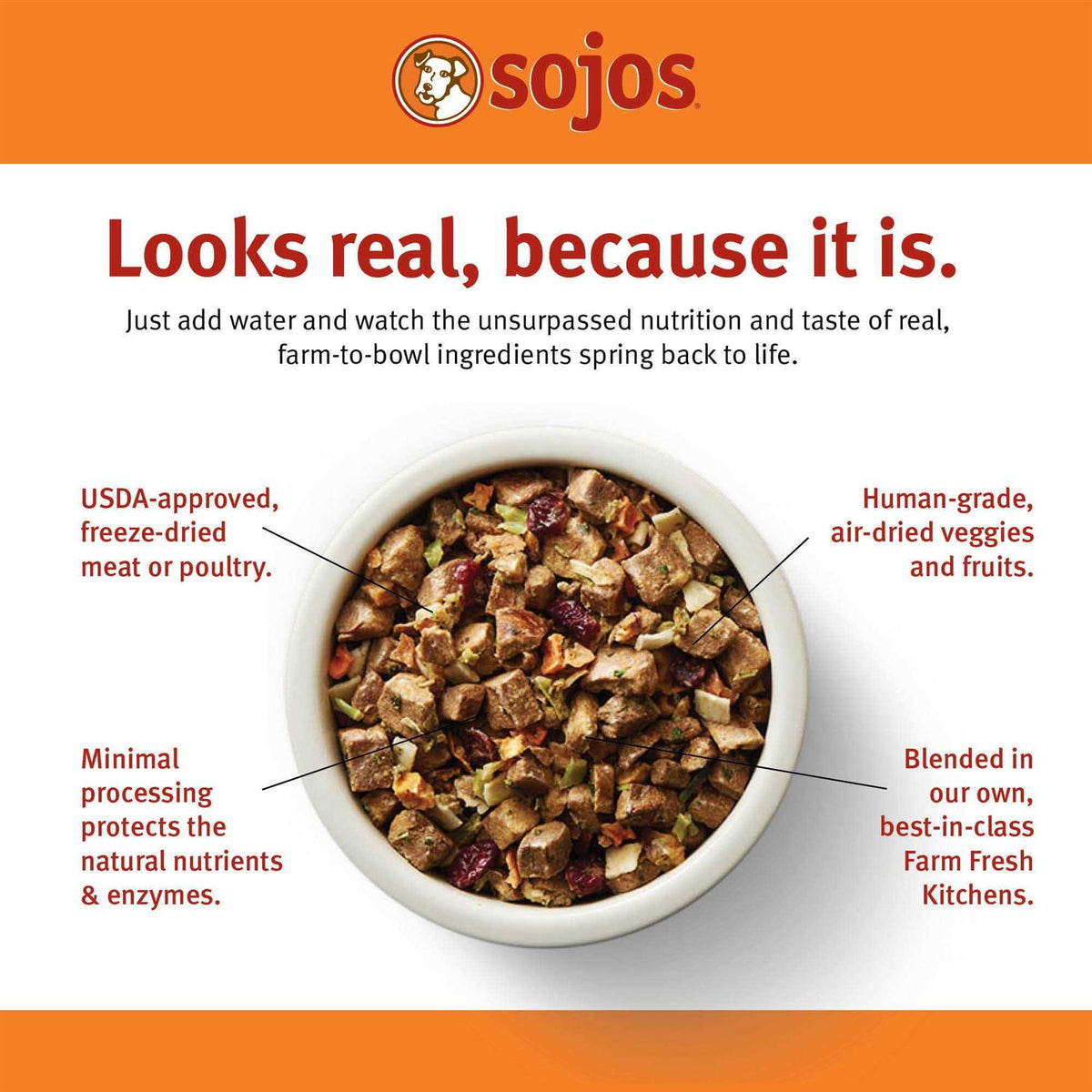 Complete Beef Recipe Dog Food A940