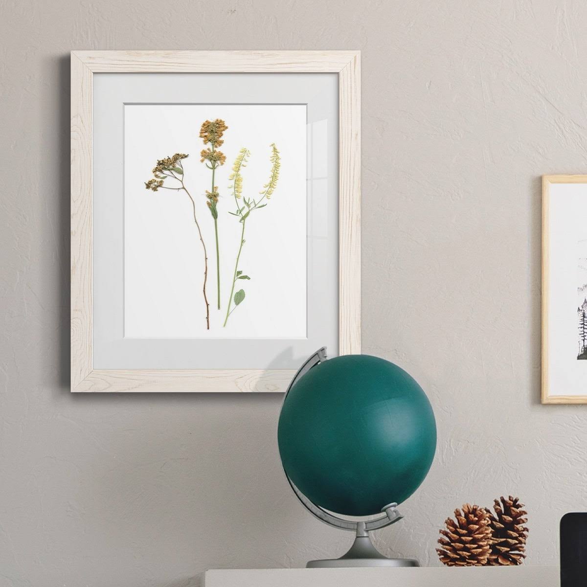 Framed Print 23X32 Black T533540