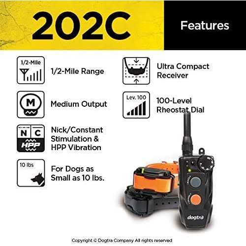 Remote Training Collar 2-Dog I611
