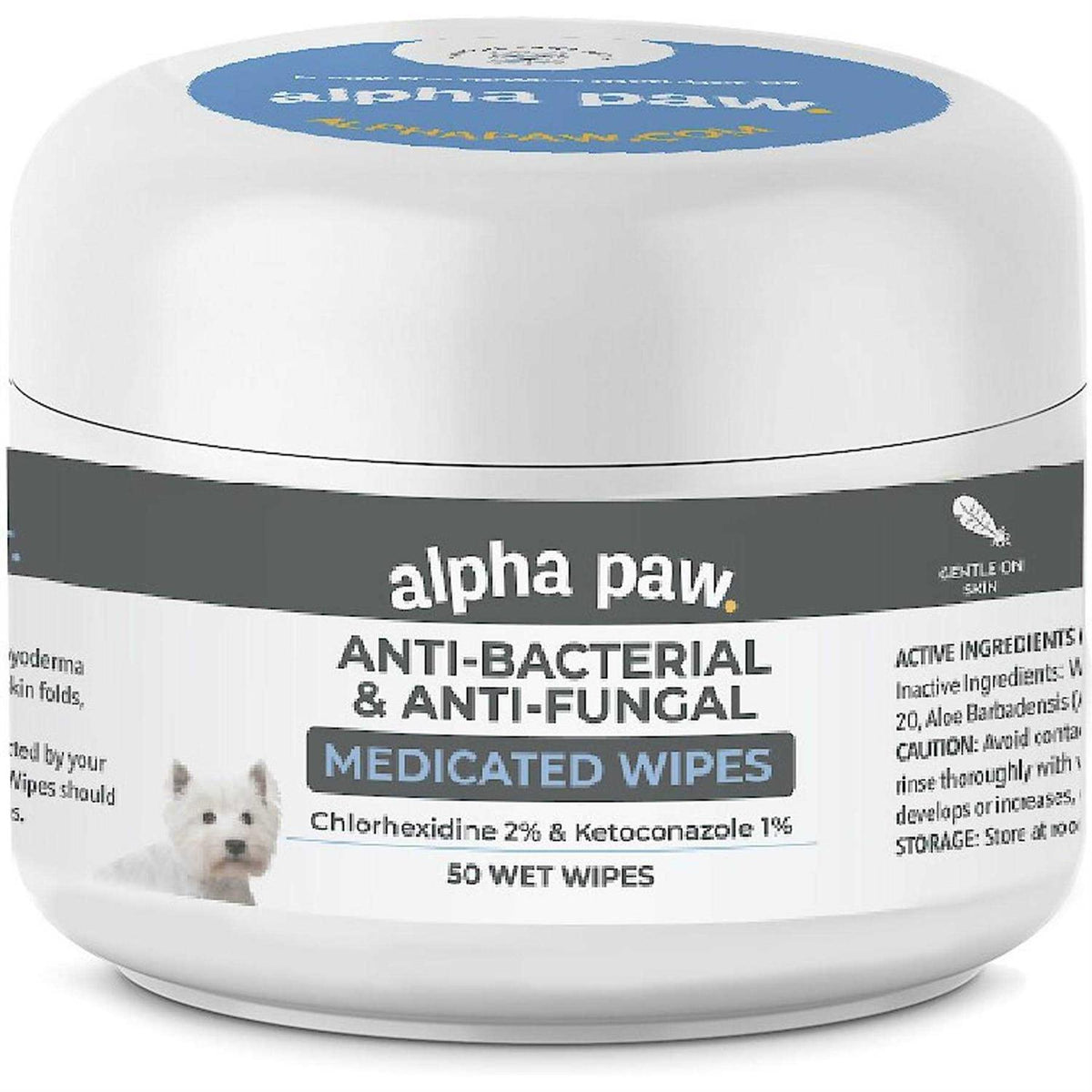 Antibacterial & Antifungal Medicated Wipes B500244