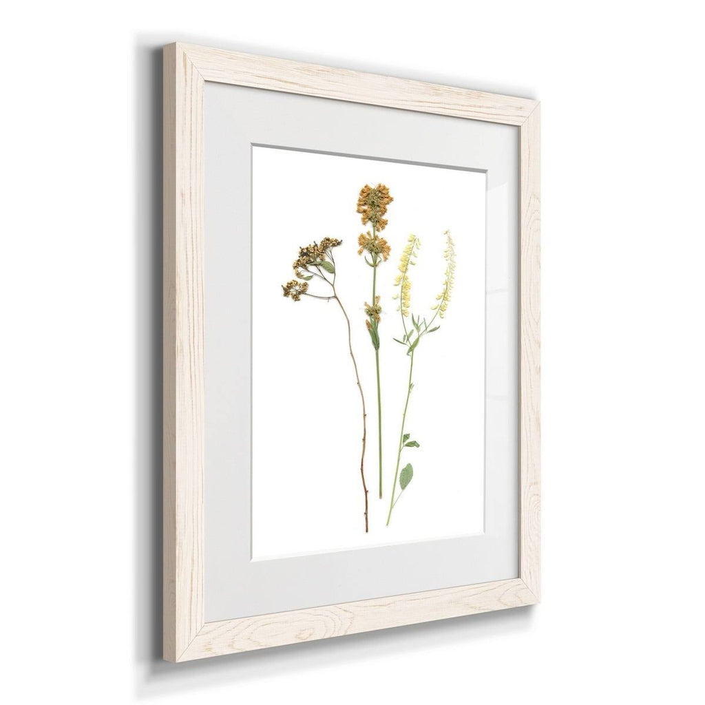 Framed Print 23X32 Black T533540