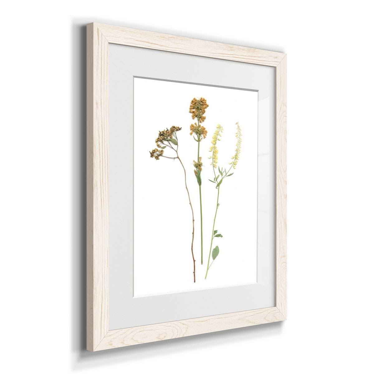 Framed Print 23X32 Black T533540