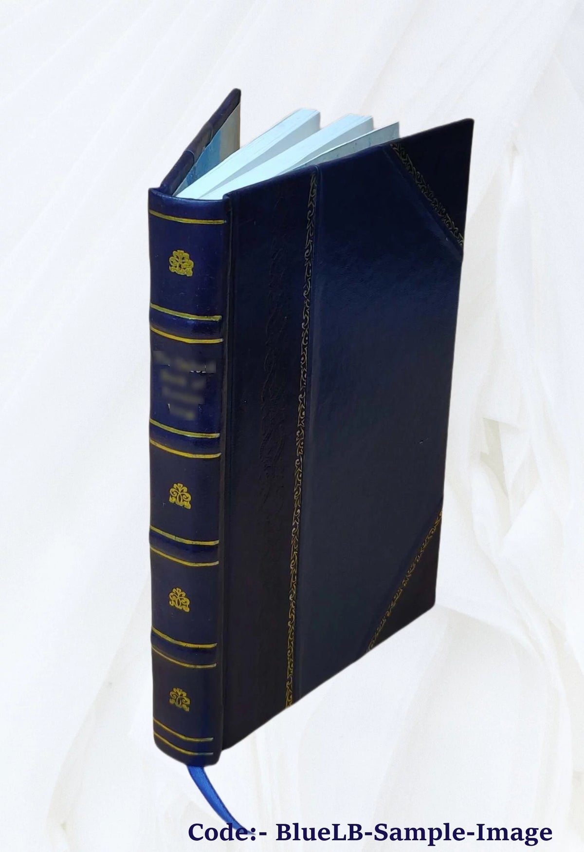 Romans de la Table ronde Leather Bound F149361