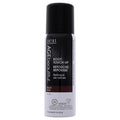 Black 2 oz Temporary Haircolor Spray H985