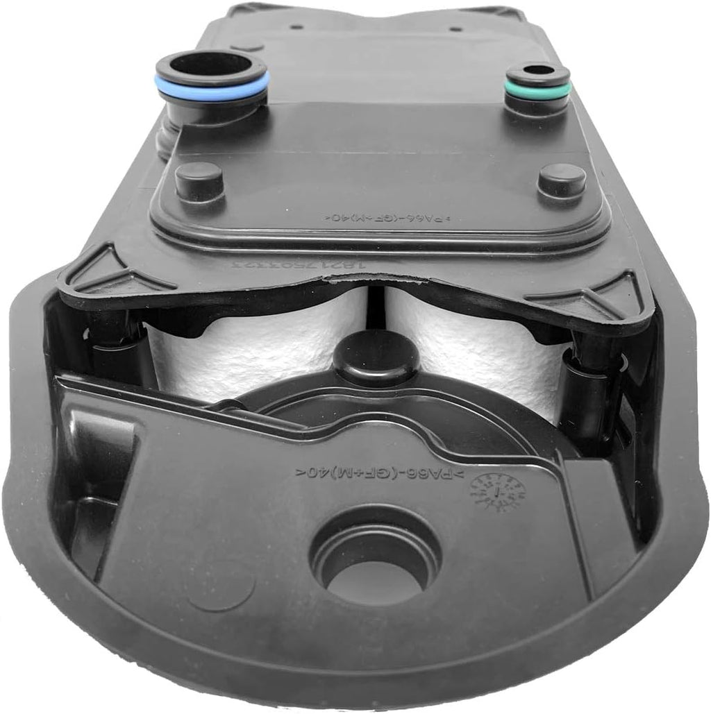 Crankcase Filter S996003