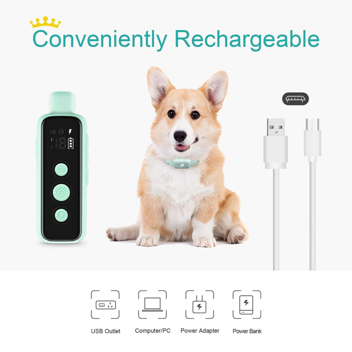 Waterproof Rechargeable Electric Dog Training Collar with Remote V4373