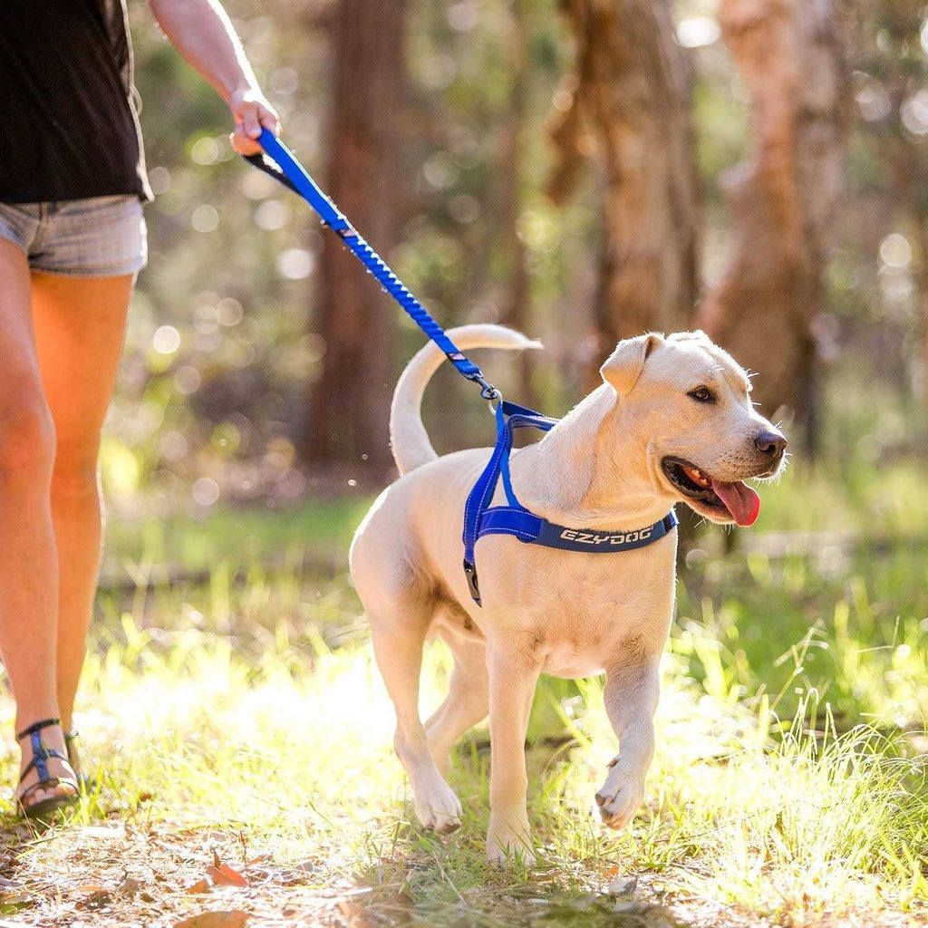 Zero Shock Dog Leash W2912