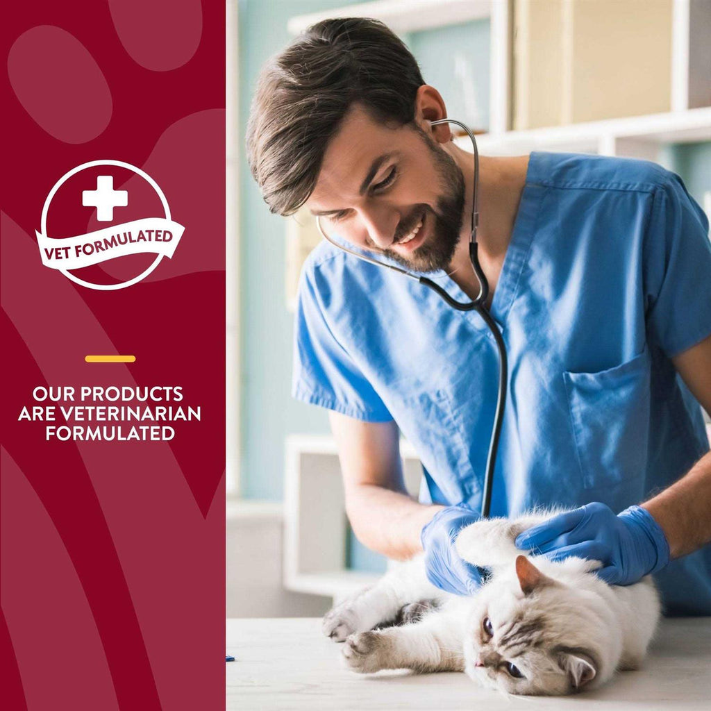 Cranberry Relief Plus Echinacea for Cats B337333
