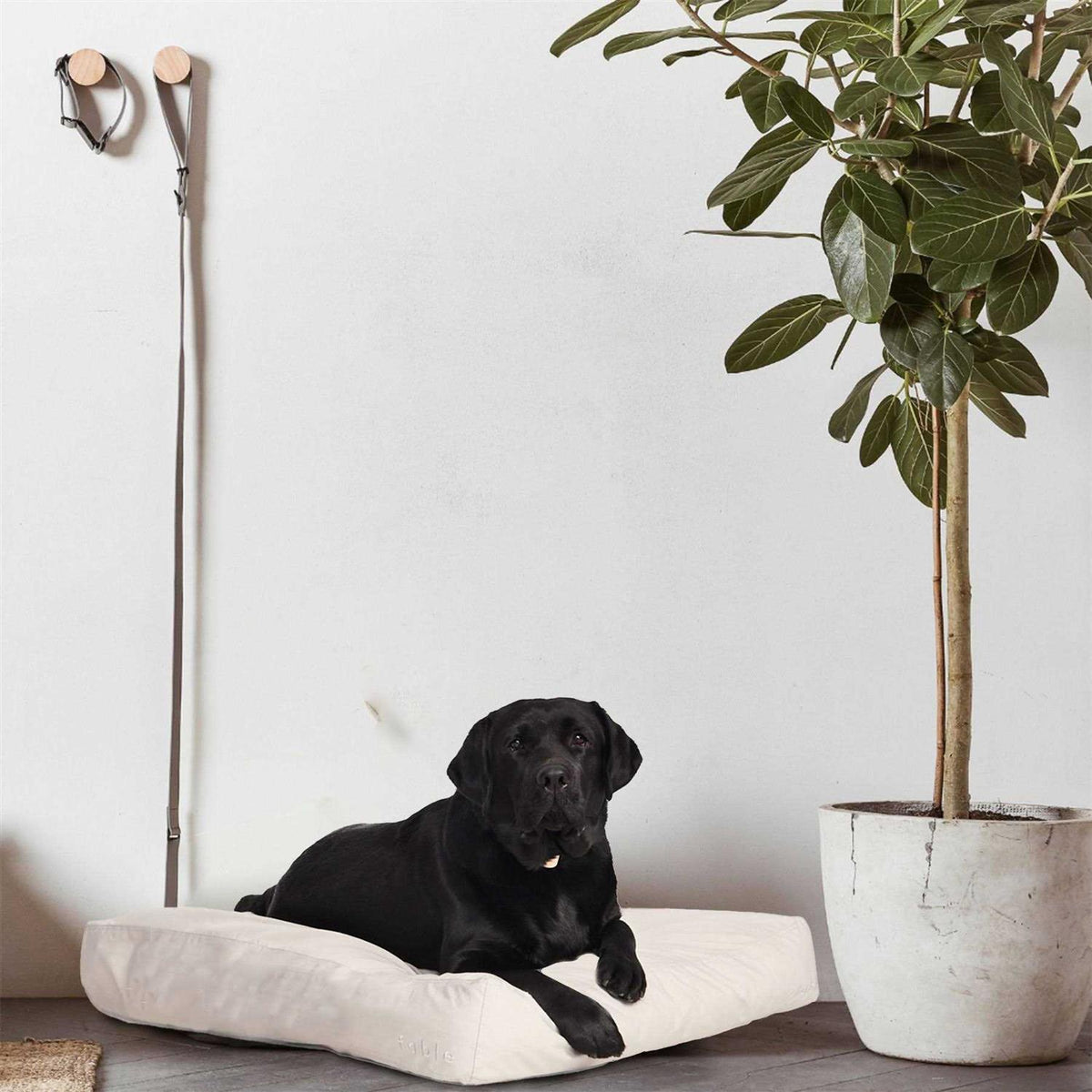 Dog Bed L952471