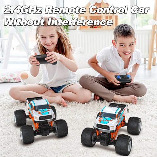 Remote Control Car 1:16 Scale 2.4Ghz Off Road RC Truck Y17172