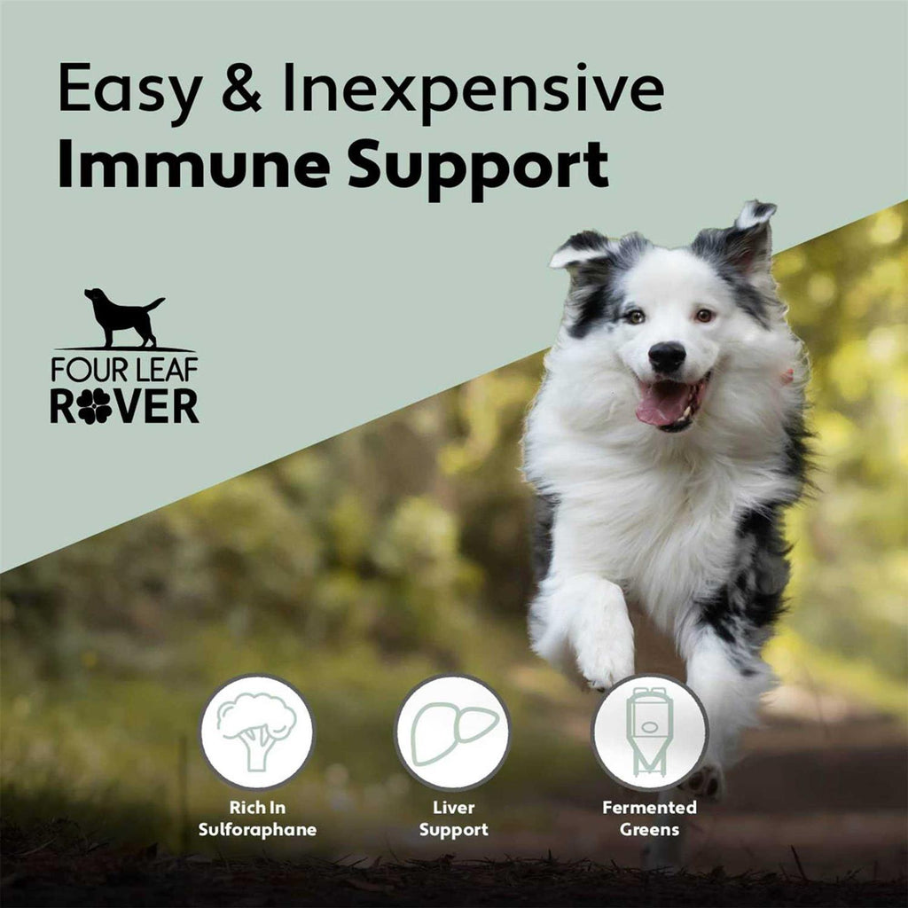 Green Rover Pet Supplies I99685