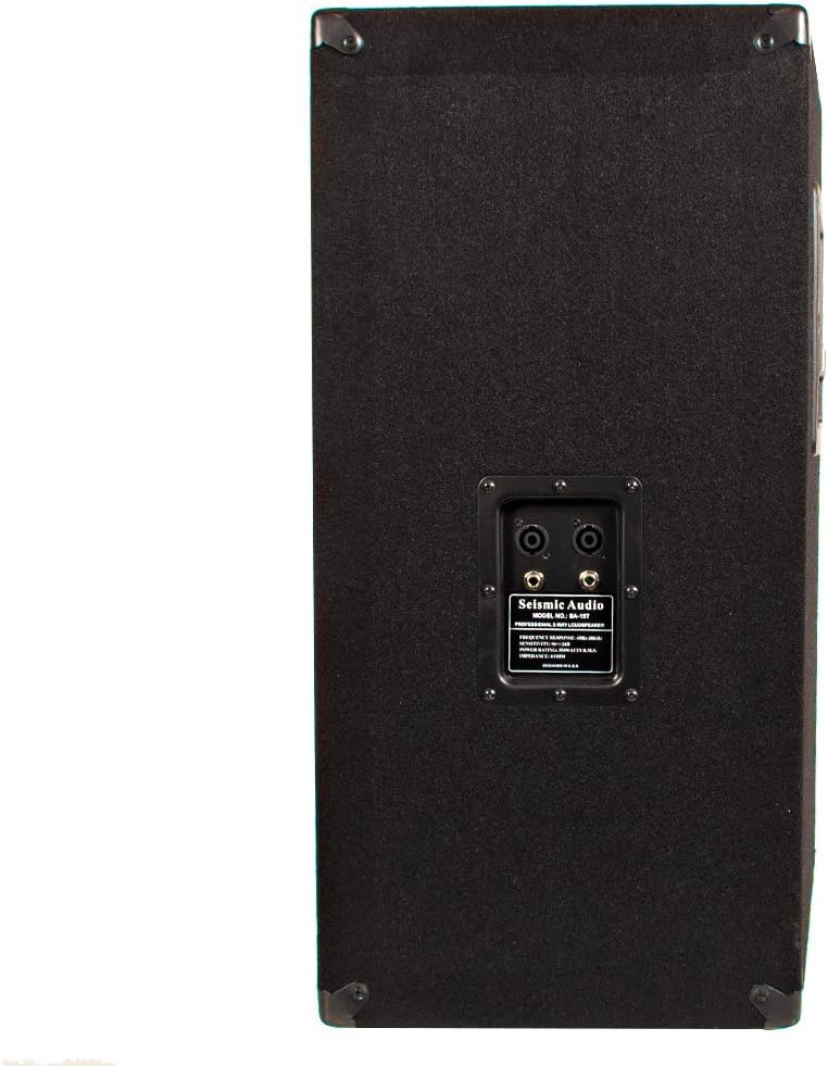 Empty 15-Inch PA DJ Speaker Cabinet F62016