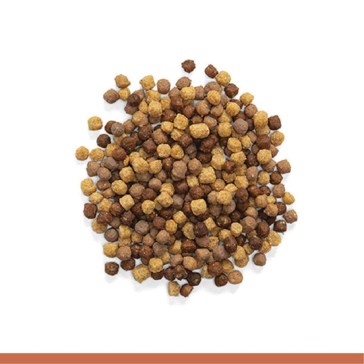 2 lbs Bird Food with Natural Nut Flavor B9325