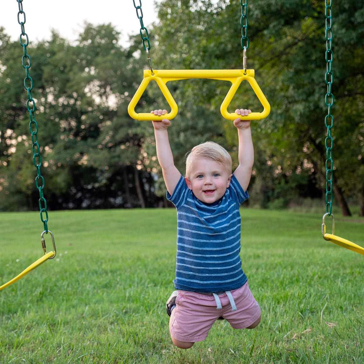 Cedar Wooden Swing Set H376564