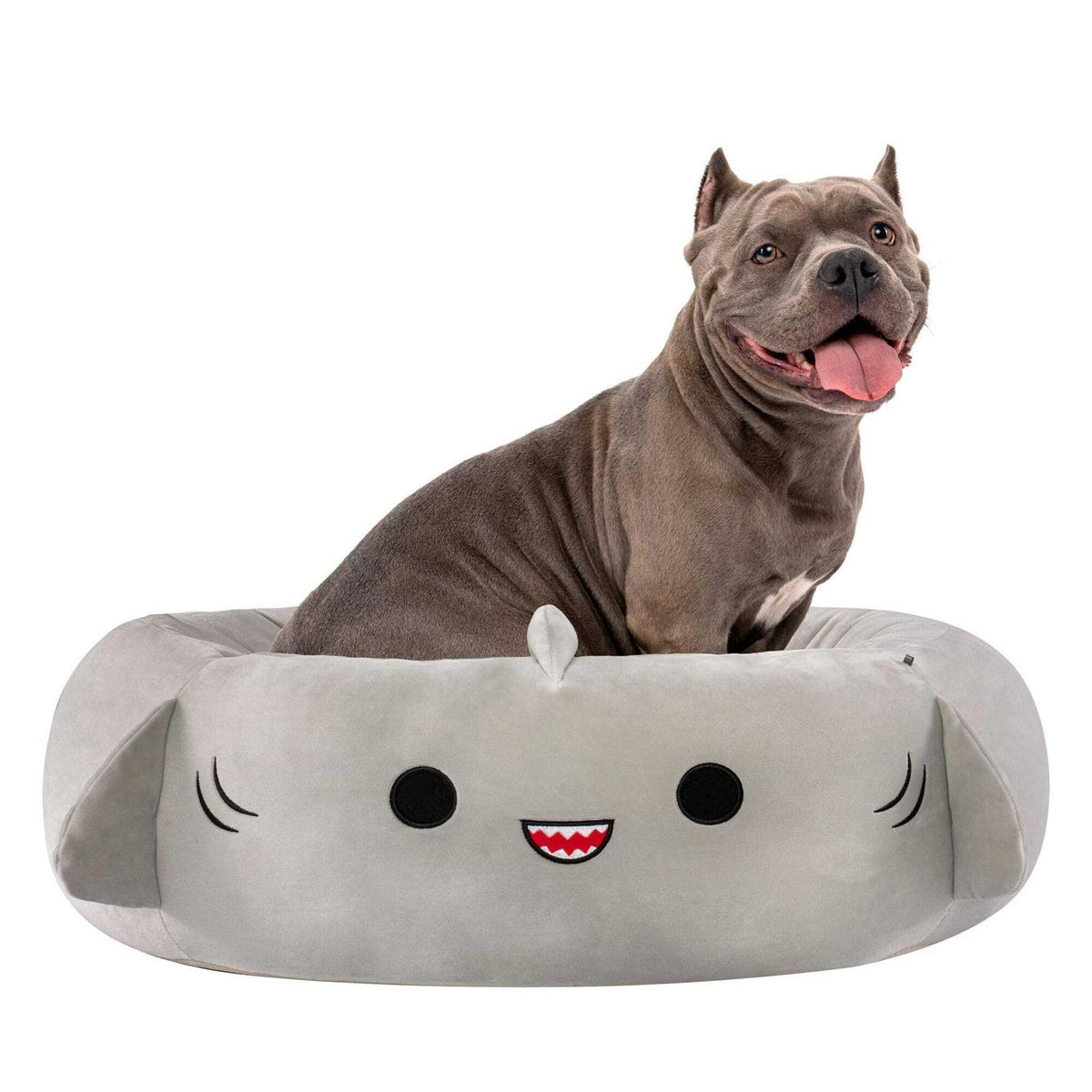 Squishmallows Gordon The Shark Pet Bed I3012