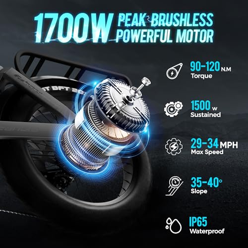 Electric Bike 20" Fat Tire Full Suspension with Dual Hydraulic Brakes N228