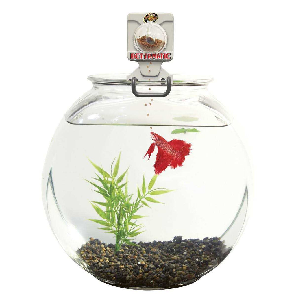 Automatic Daily Betta Feeder N636