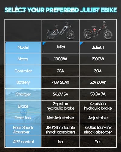 Electric Bike 20" Fat Tire Full Suspension with Dual Hydraulic Brakes N228