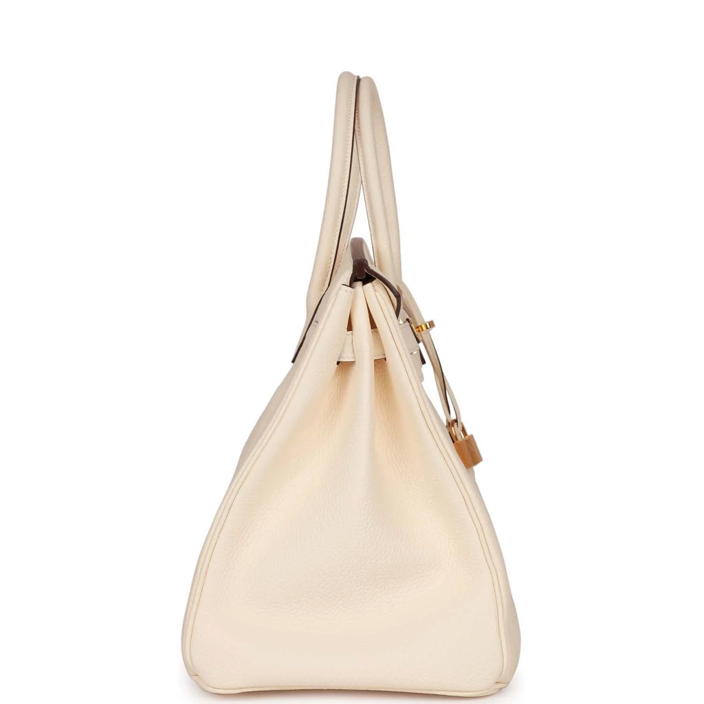 Birkin 35 Nata Clemence Gold Hardware B8168