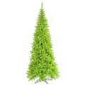 Lime Slim Fir Tree Y74907