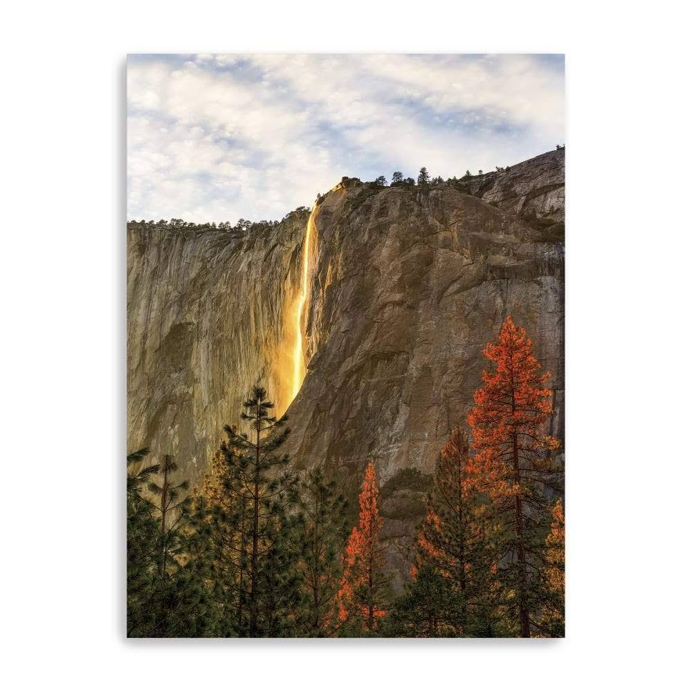 Canvas Giclee P2402