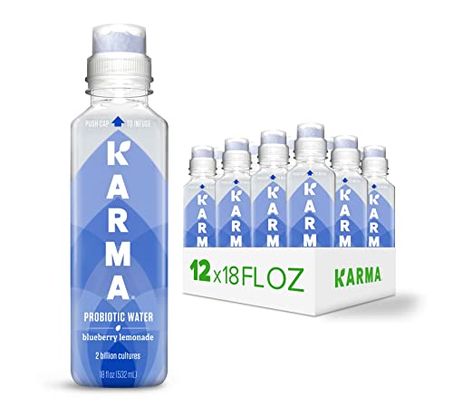 Blueberry Lemonade Probiotic Water 18 Fl Oz (Pack of 12) F965
