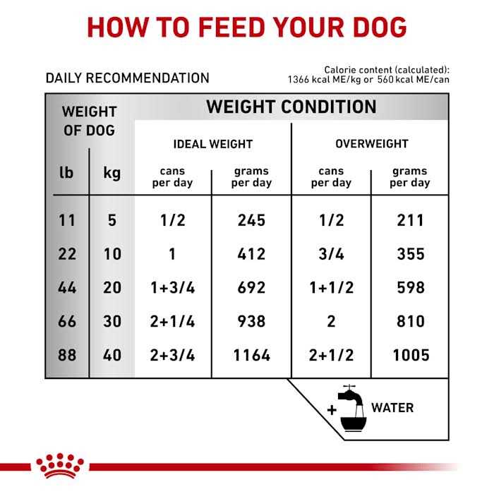 Veterinary Diet Hepatic Canned Dog Food F617811