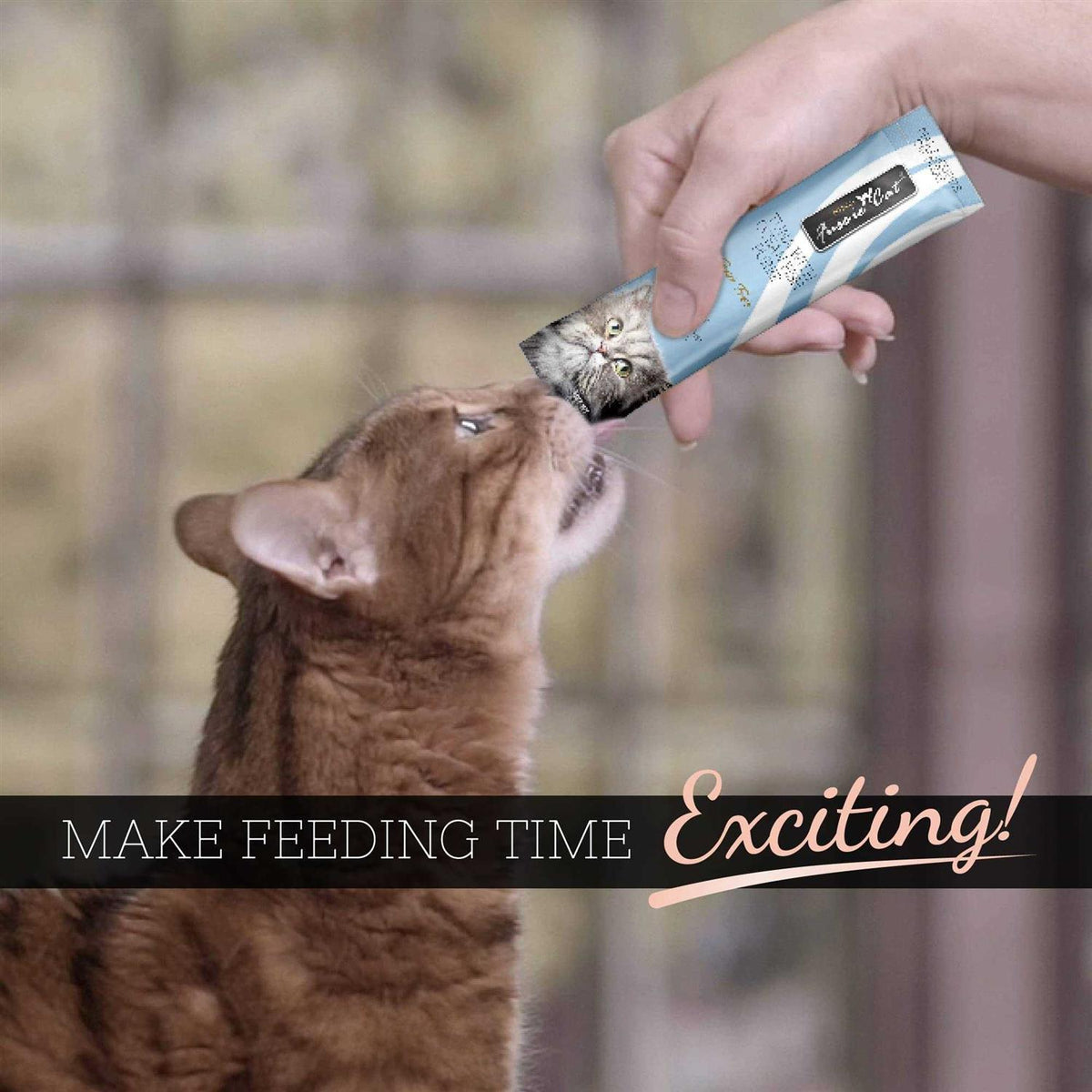 Tuna Cat Puree C4203