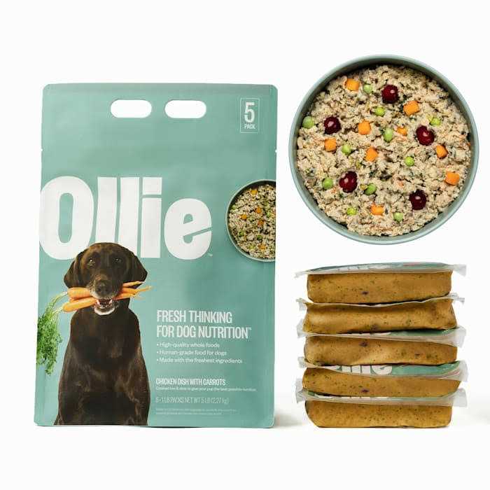Chicken Dish with Carrots Frozen Dog Food T548670