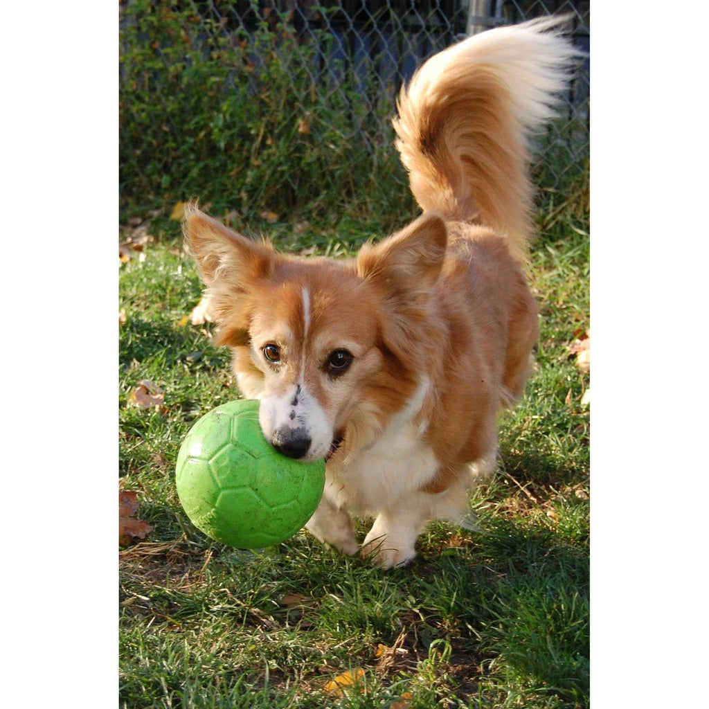 Soccer Ball E465856