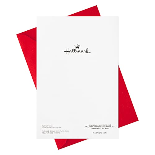 40 Cards with Envelopes Holiday Cards V991784