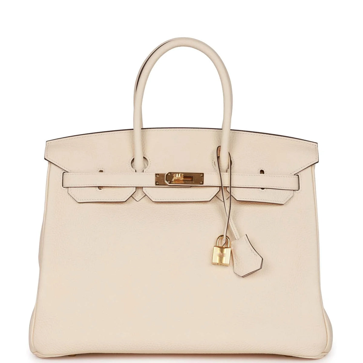 Birkin 35 Nata Clemence Gold Hardware B8168