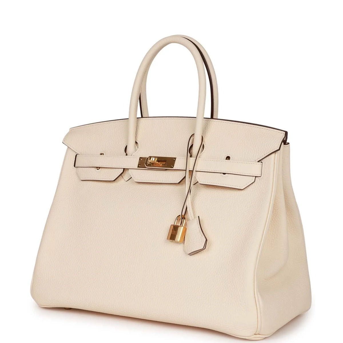 Birkin 35 Nata Clemence Gold Hardware B8168