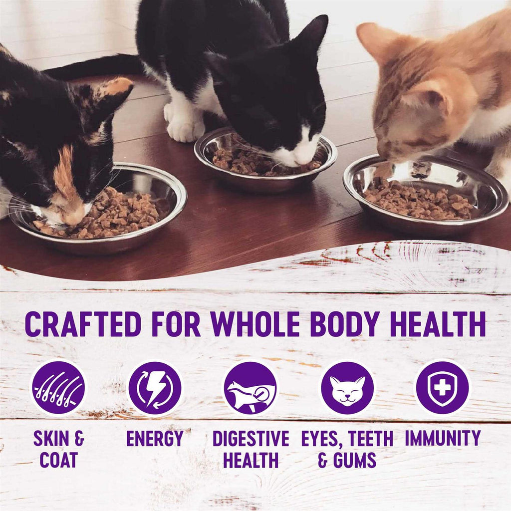 Complete Health Pâté Pet Supplies Q4946