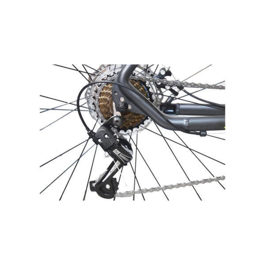 Black/White L1281