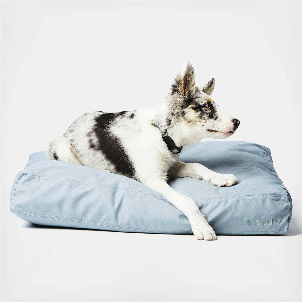 Dog Bed L952471