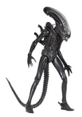 1/4 Scale Action Figure H656