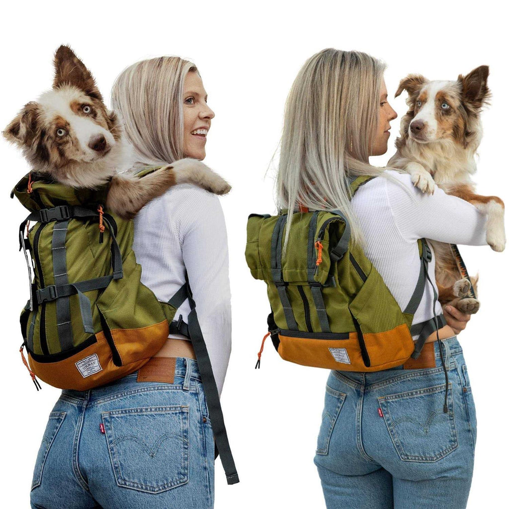 Dog Carrier A3987