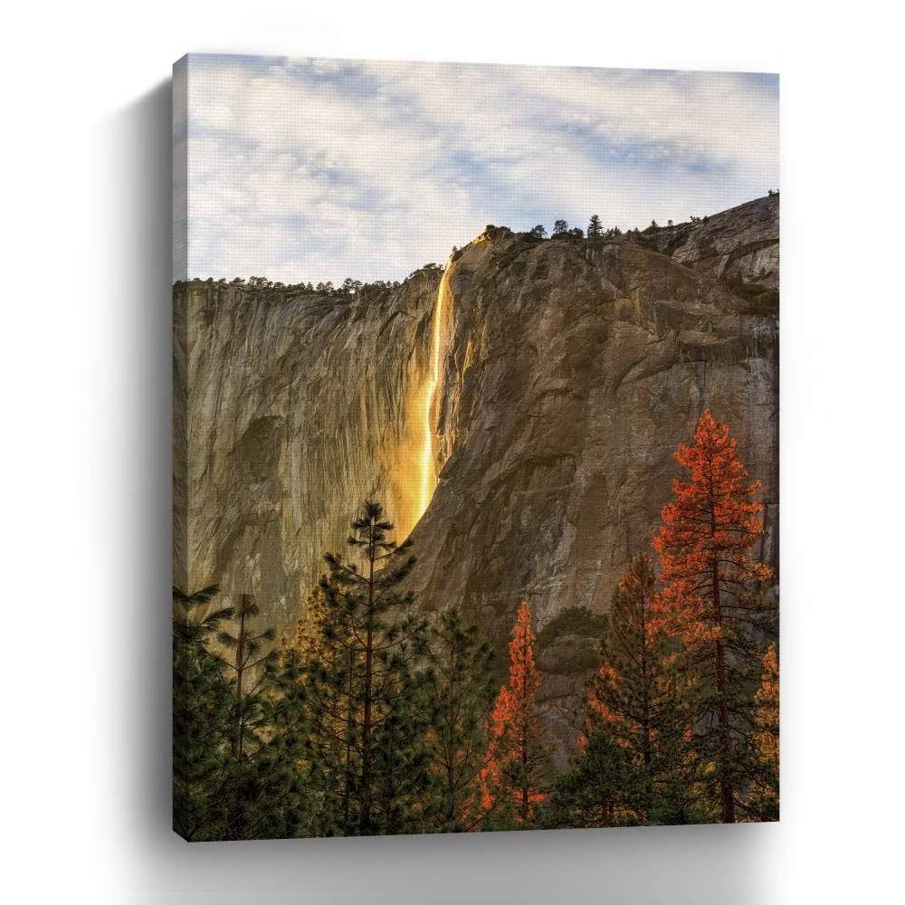 Canvas Giclee P2402