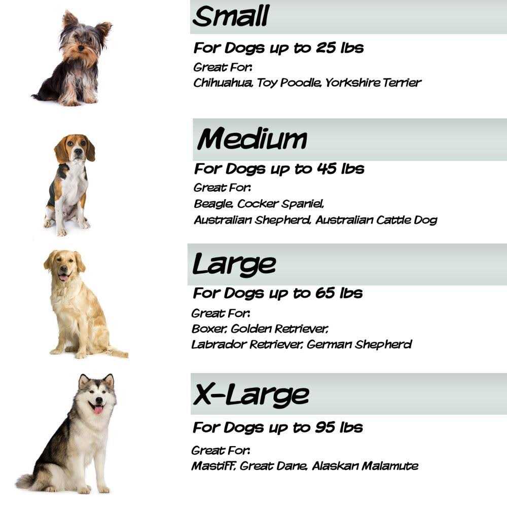 Waterproof Indoor/Outdoor Memory Foam Pet Bed H1732