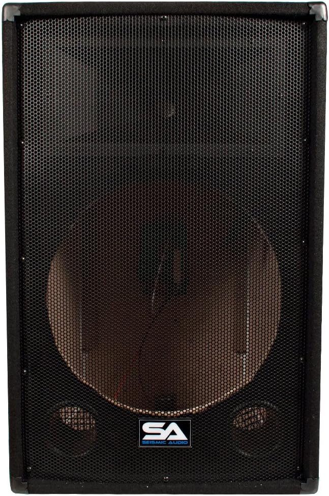 Empty 15-Inch PA DJ Speaker Cabinet F62016
