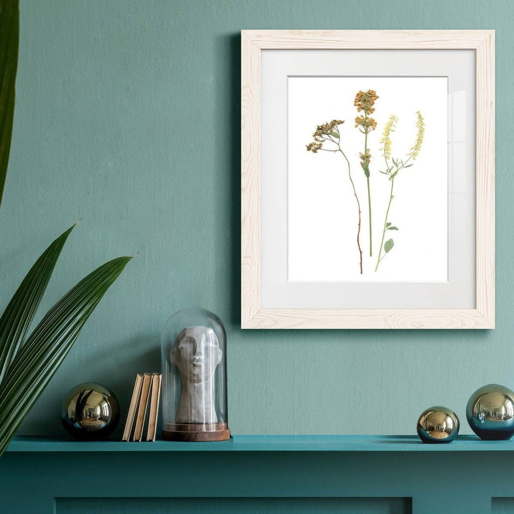 Framed Print 23X32 Black T533540
