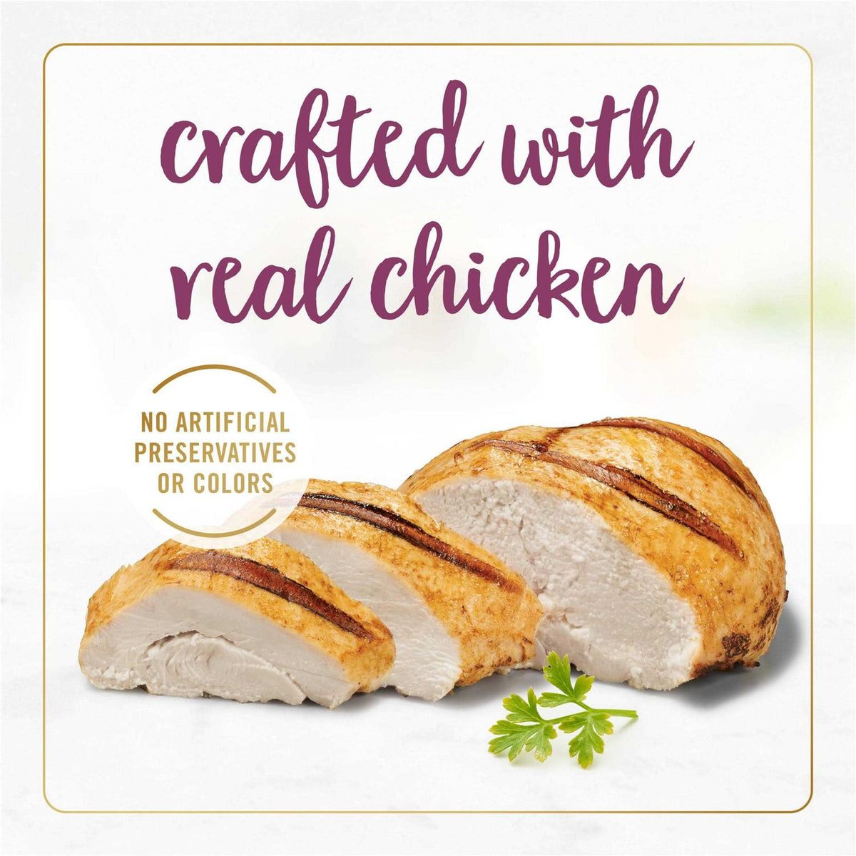Grilled Gravy Cat Food R1037