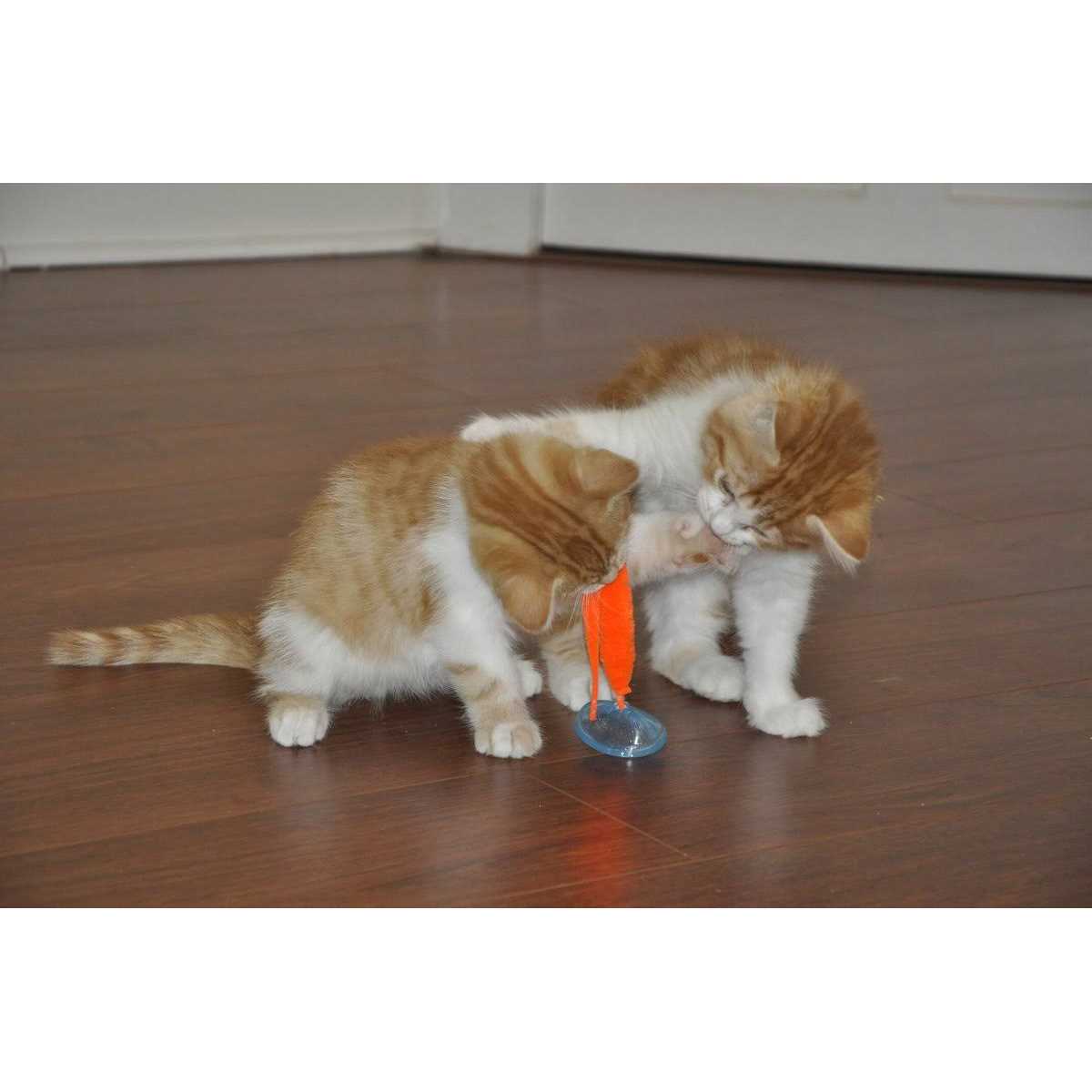 Cat Toy S52310