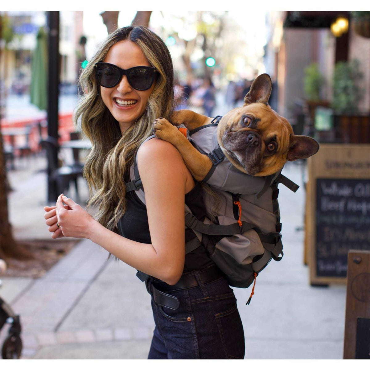 Dog Carrier A3987