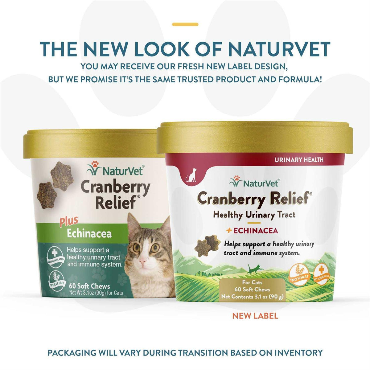 Cranberry Relief Plus Echinacea for Cats B337333
