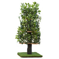 Cat Tree with Leaves Cat House I512979