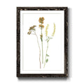 Framed Print 23X32 Black T533540